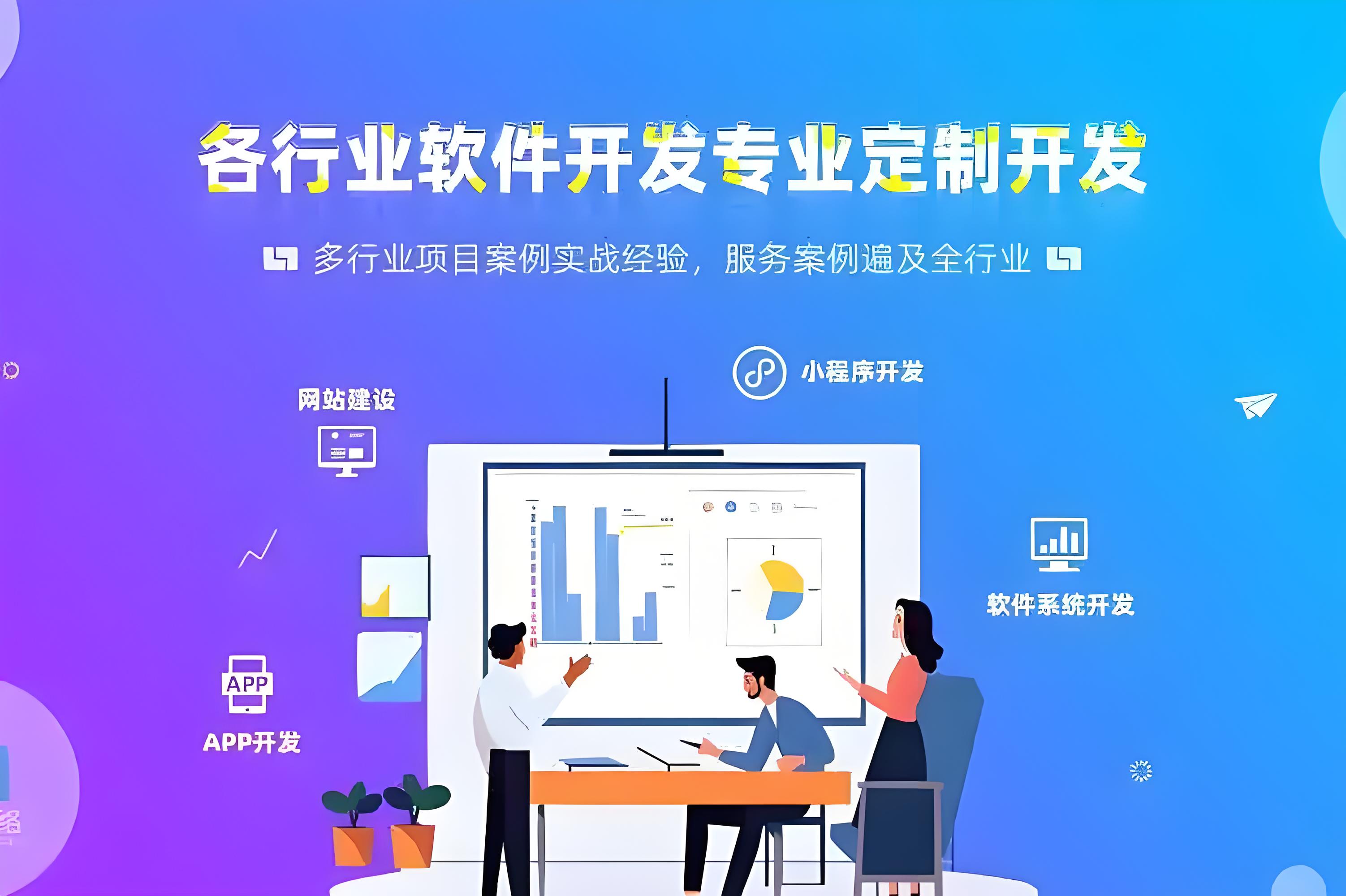 定制化软件开发